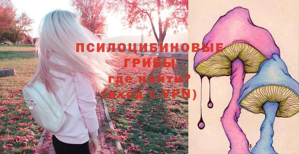 Альфа ПВП Балабаново