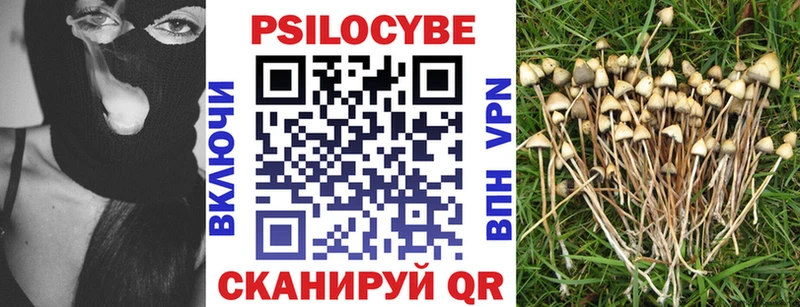 Псилоцибиновые грибы Cubensis Купить Балей